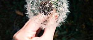 生活新鮮樂-019 全世界最精采的設計、全世界最奇妙的房子，特別介紹
