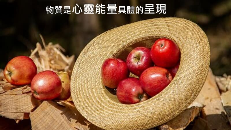 心悅幸福樂 194 向原力覺醒：用意識創造，取代行動創造