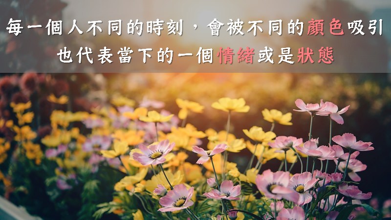 心悅幸福樂 247 彩虹卡100問彩虹卡運用完全攻略，不藏私一次告訴你！