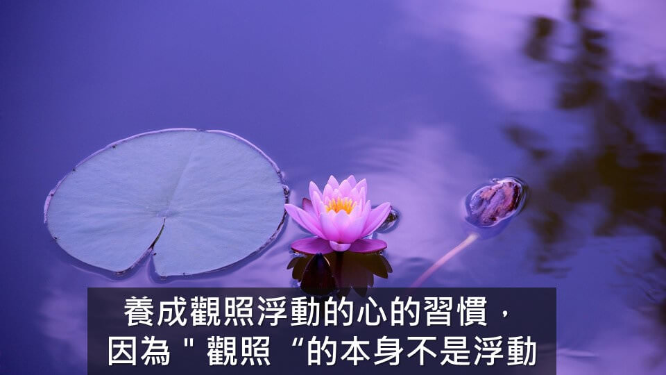 心悅幸福樂│真我宣言：印度靈性導師拉瑪那尊者的教誨福音