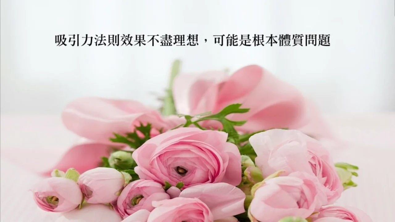 心悅幸福樂 | 財富豐盛吸引力 | 安一心 專訪 沈伶 老師
