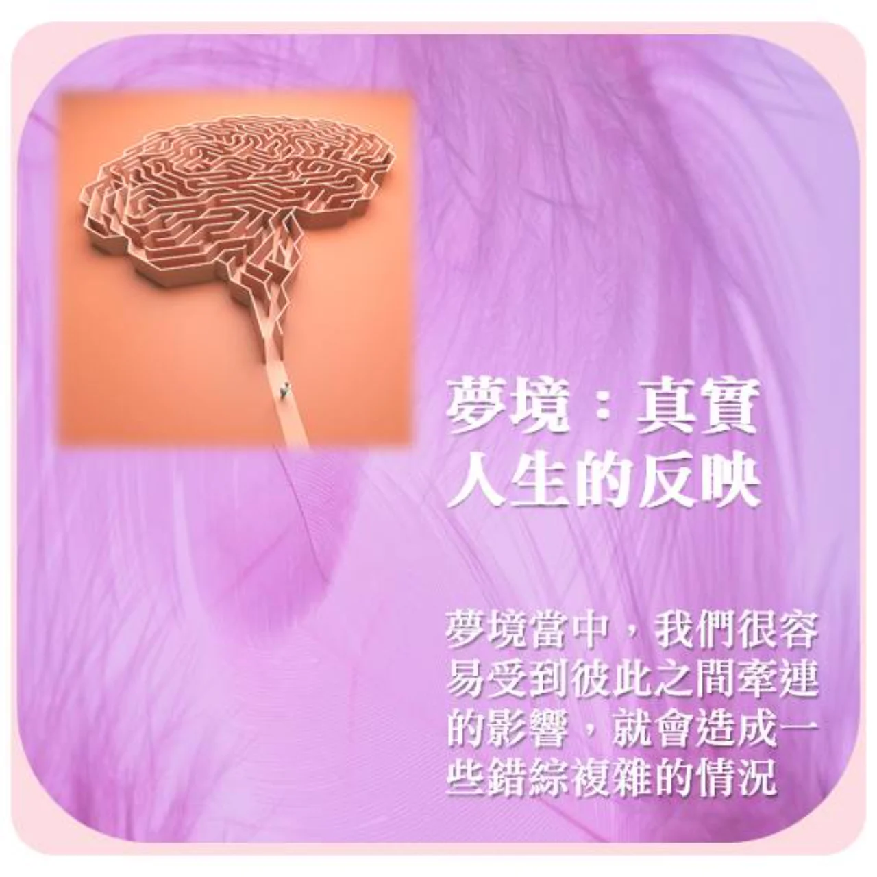 心悅幸福樂 | 打破人生幻鏡四個約定 | 安一心 專訪 劉信宏