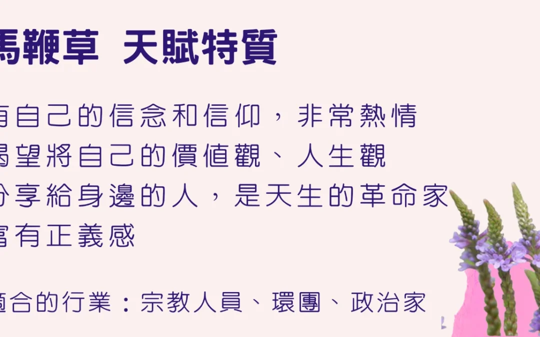 12種靈魂花精的獨特天賦，你是哪一種？馬鞭草 & 水堇 【心宇愛-幸福引航家】