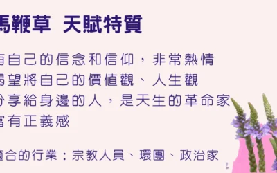 12種靈魂花精的獨特天賦，你是哪一種？馬鞭草 & 水堇 【心宇愛-幸福引航家】