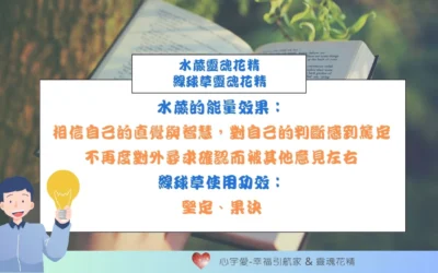 【如何讓混沌的腦袋變得清晰平靜？】心宇愛-幸福引航家smile spirit