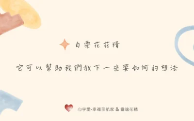 【一招化解你在愛情中的”不甘心”！】心宇愛-幸福引航家smile spirit