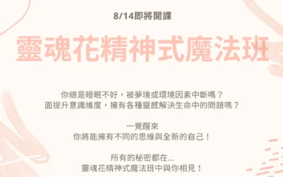 【NLP與靈魂花精-催眠效益最大化的信念催化劑】心宇愛-幸福引航家smile spirit