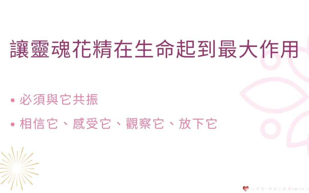 【靈魂花精-身心富足成功人士的必備關鍵】心宇愛-幸福引航家smile spirit