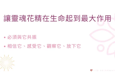 【靈魂花精-身心富足成功人士的必備關鍵】心宇愛-幸福引航家smile spirit