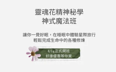 【多夢、睡眠中斷，總是讓你睡不好嗎？】心宇愛-幸福引航家smile spirit