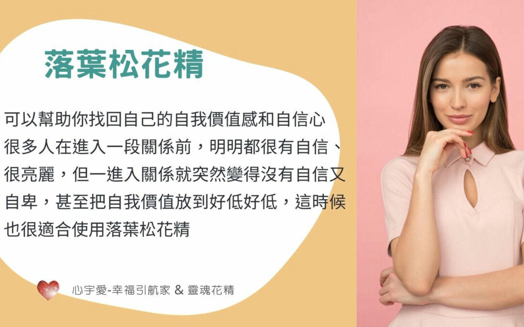 【如何看見一段感情的真相？而不是被人性的情感操弄，自我矇騙？】心宇愛-幸福引航家smile spirit