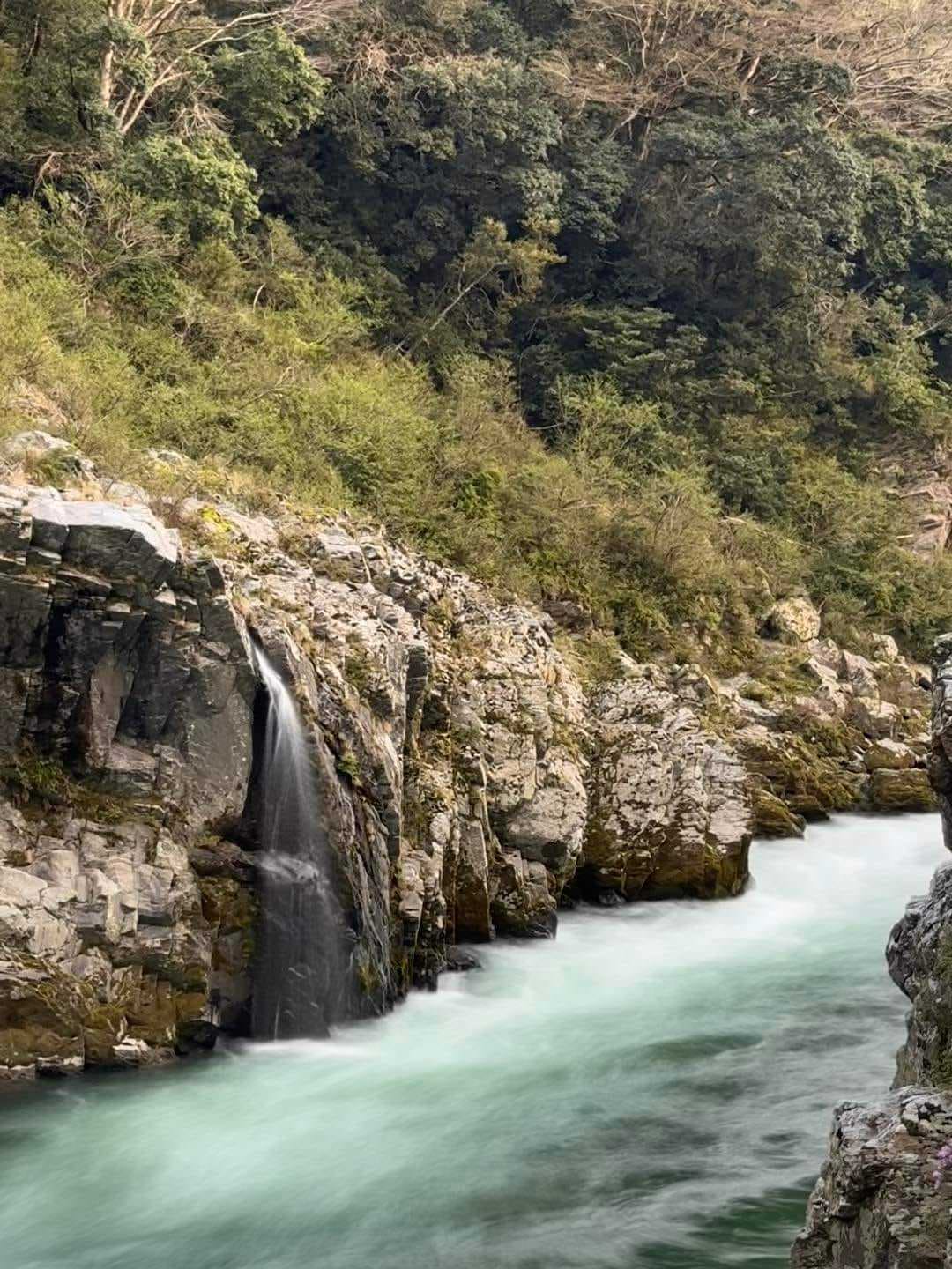 水的療癒力量